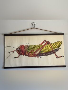 Like New! Anthropologie Large Wall Art Scientific Study of a Grasshopper 55x33